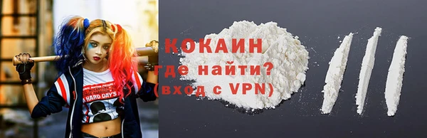mdpv Богородицк