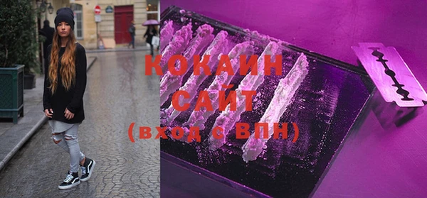 mdpv Богородицк