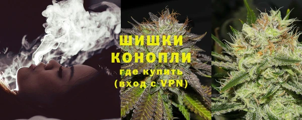mdpv Богородицк